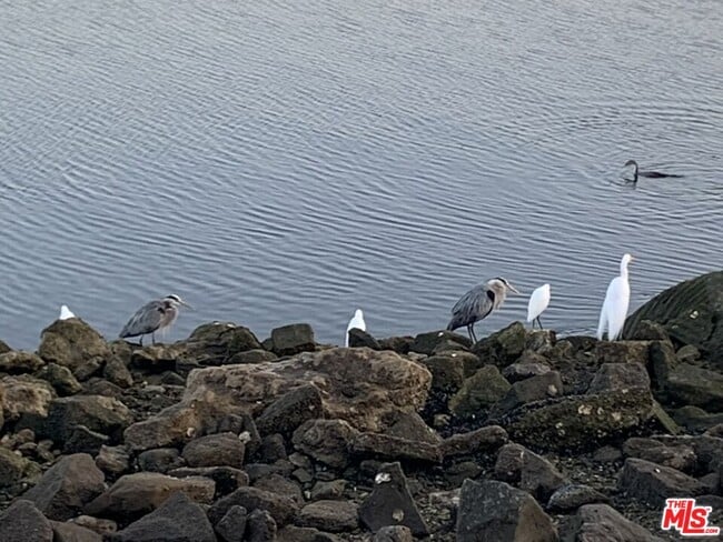 Building Photo - 6623 Esplanade