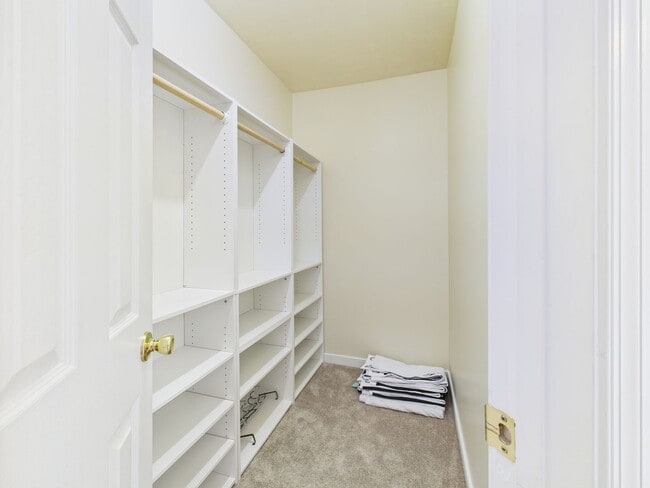 Building Photo - 2517 Mountain Ash Cir