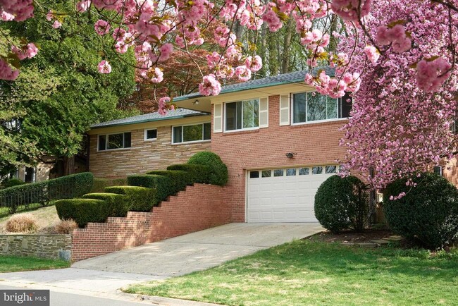 Building Photo - 6716 Tulip Hill Terrace
