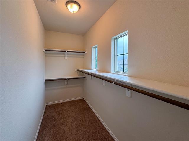 Building Photo - 5517 Galante Ln