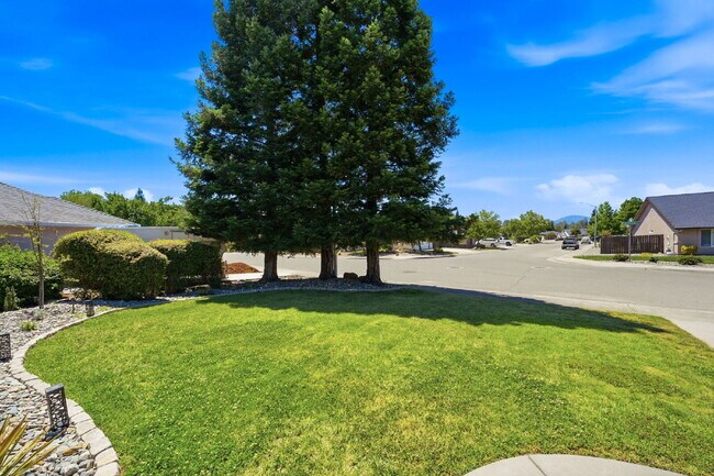 Building Photo - Very clean move in ready dog friendly
