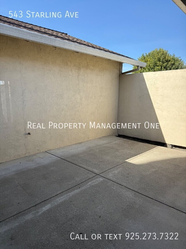 Building Photo - 543 Starling Ave