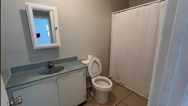 Bathroom - 311 W Sumter St