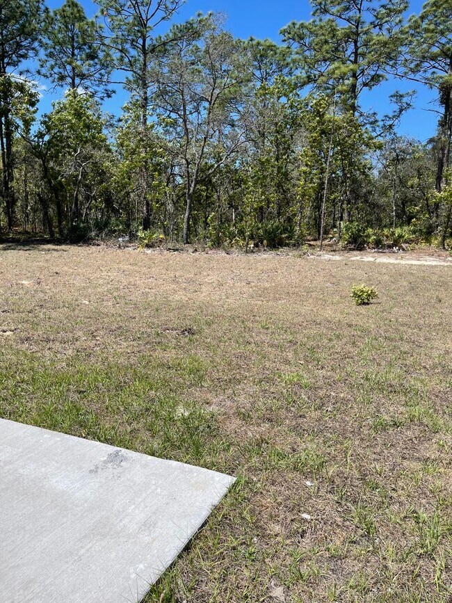 Building Photo - 15265 Mottled Owl Rd