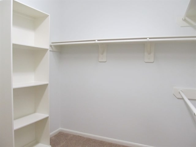 Building Photo - 21931 Blossom Grove Ln