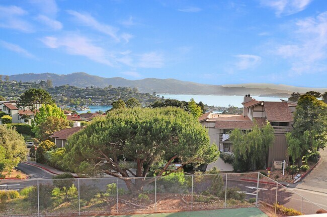 Building Photo - 99 Marinero Cir