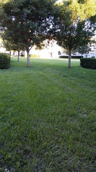 backyard - 1536 SE 26th St