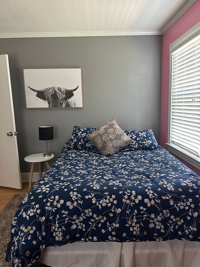 550 Peak Branch Rd 550 Peak Branch Rd Snow Hill NC 28580 Apartment Finder