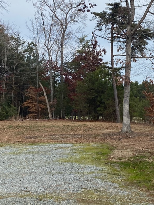 Building Photo - 942 Monte Verde Rd