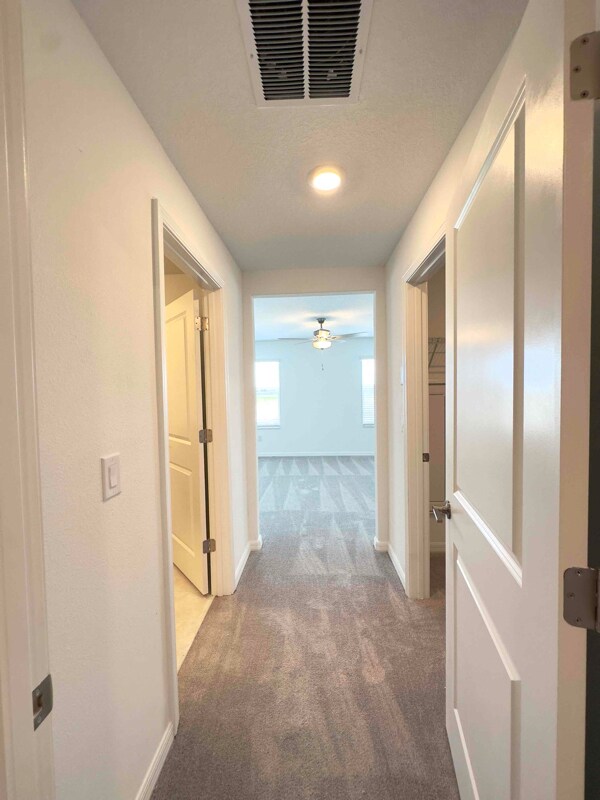 Building Photo - 32201 Powderpuff Mimosa Dr