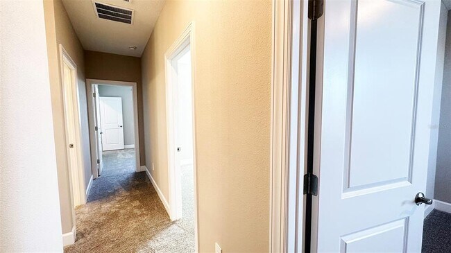 Building Photo - 3806 Savanna Palms Ct