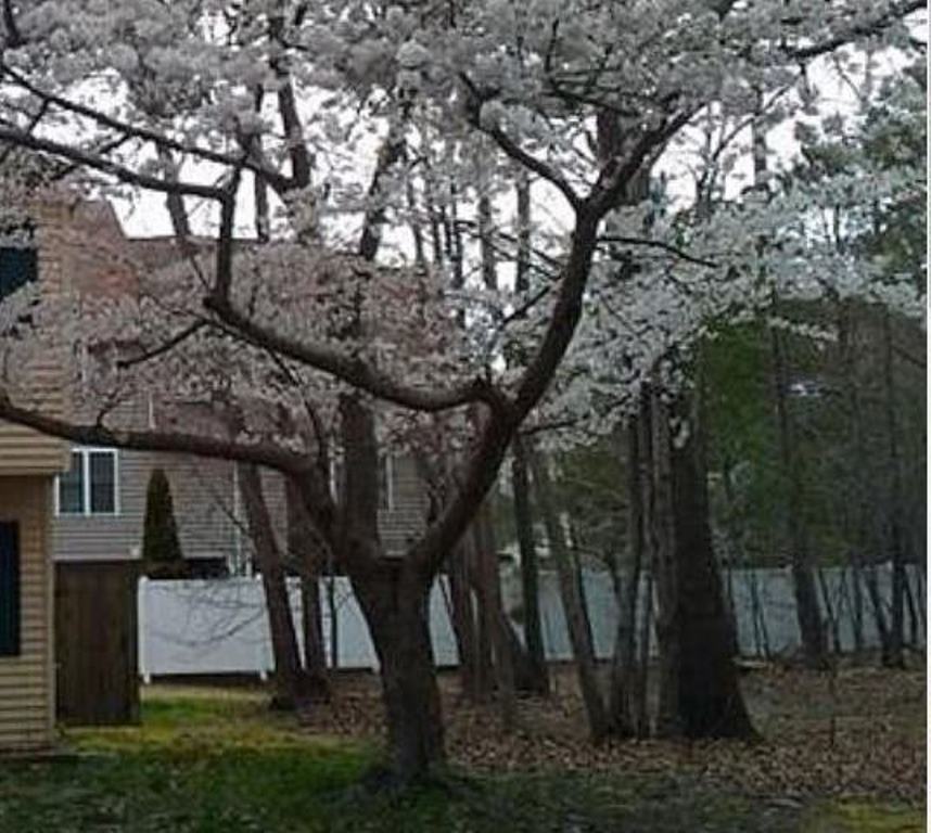 Building Photo - 31 Sally Ann Pl