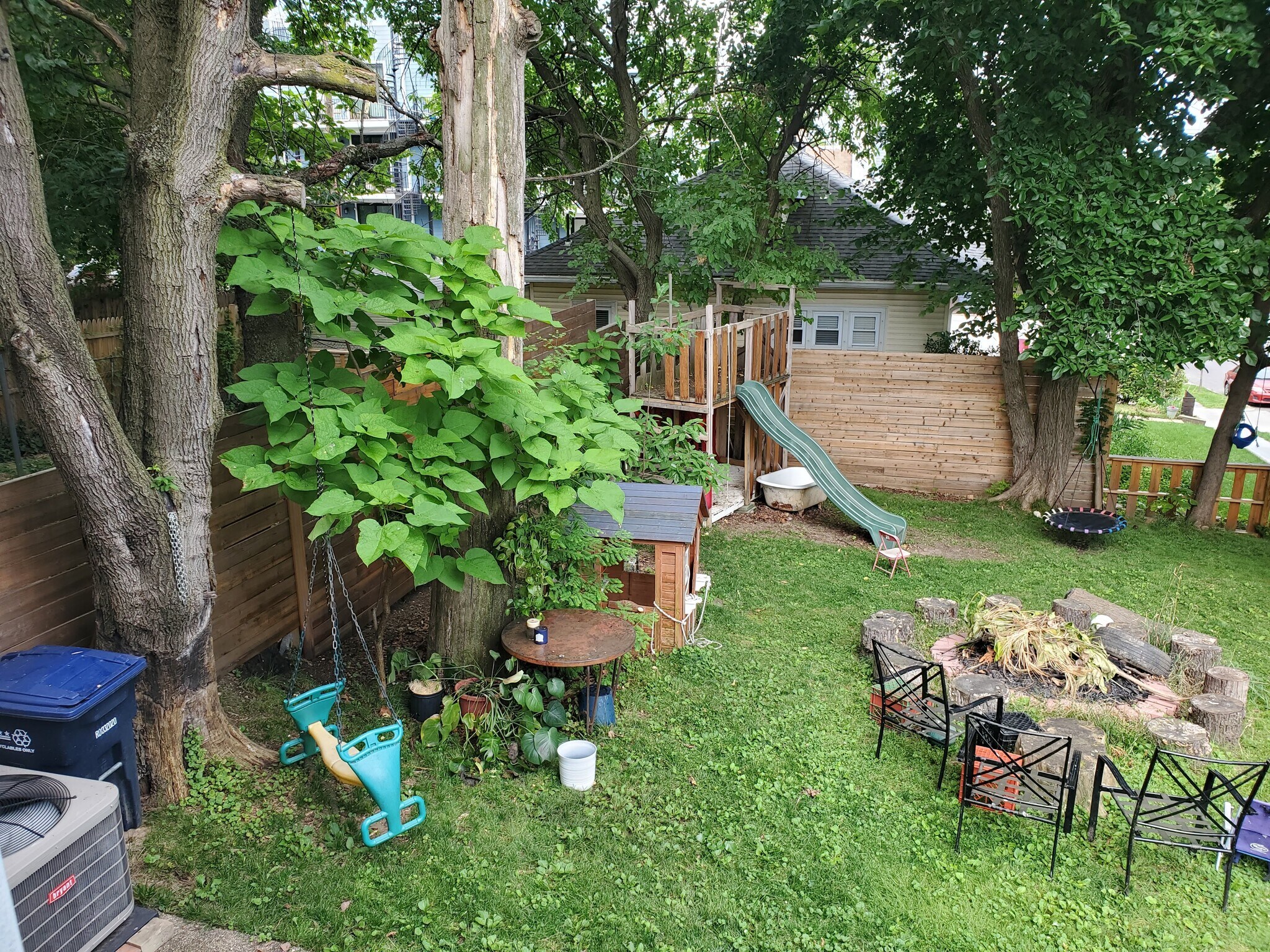 Back Yard - 4530 9th St NW