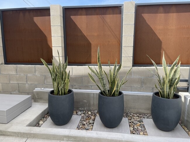 Building Photo - 3358 Bancroft St