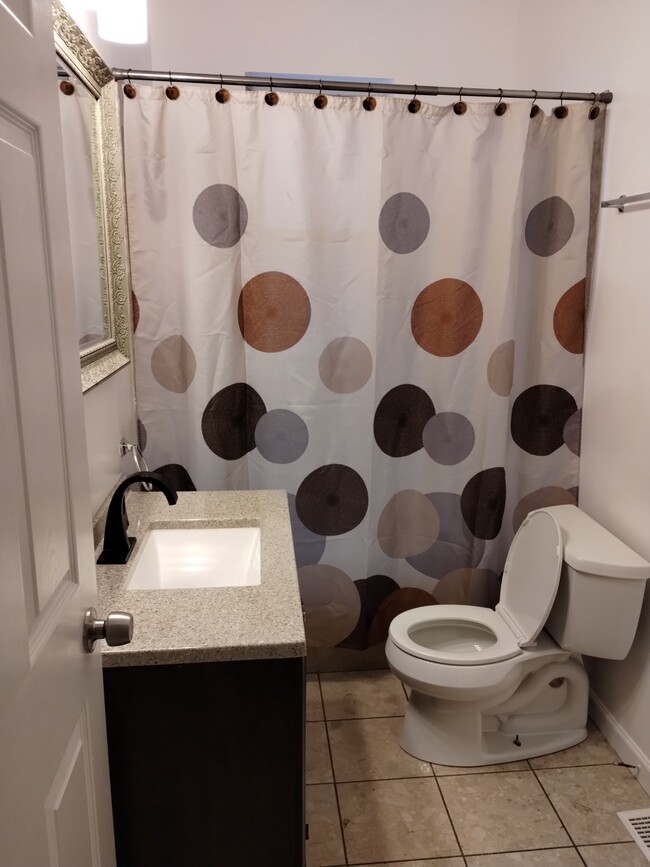 1st Flr Bathroom - 4233 S Prairie Ave