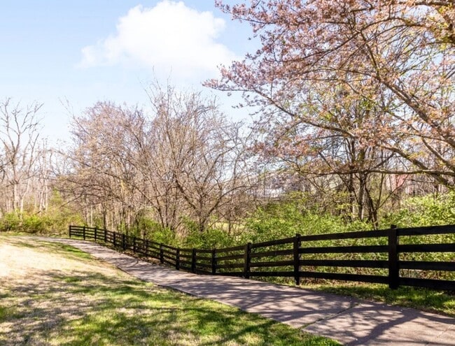Building Photo - 4979 Paddy Trace