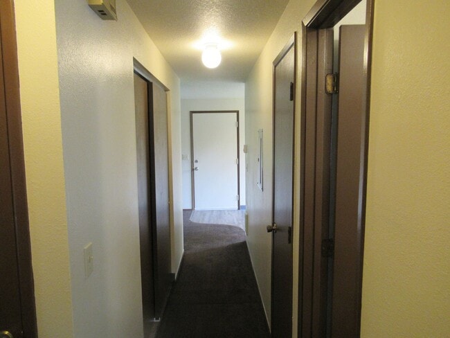 Building Photo - 3351 Willow Ct SE