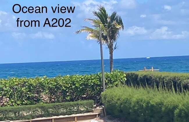 Primary Photo - 3200 S Ocean Blvd