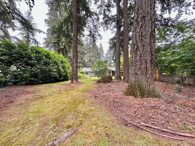 Building Photo - Tranquil Environment: 3 Bed, 1 Bath House