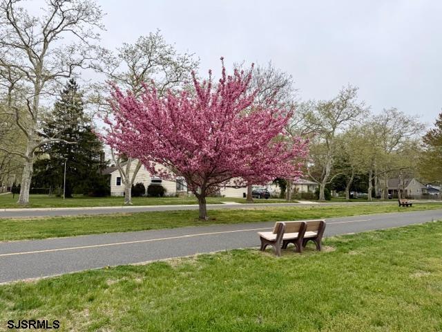 Building Photo - 101 W Meyran Ave