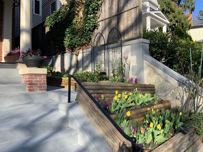 front of house and east walk to deck - 1869 Park Rd NW