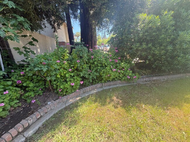 Building Photo - IMMEDIATE MOVE IN! Charming Vintage Sacramento 3 Bed / 1.5 Bath Home with Large Private Yard