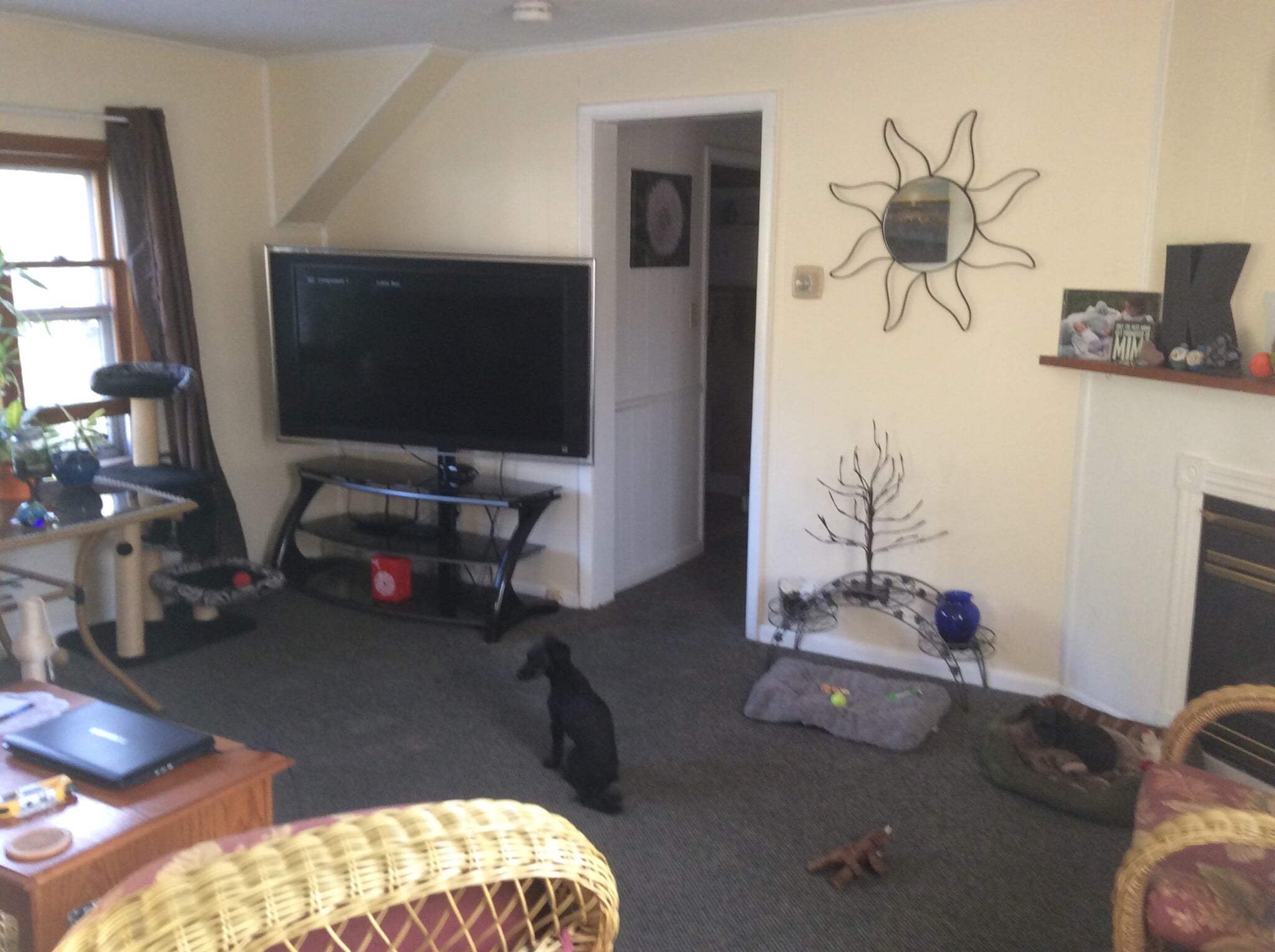 Living Room with Gas Fireplace - 1424 North Ave