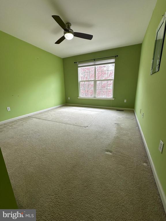 Building Photo - 147 Fringetree Dr