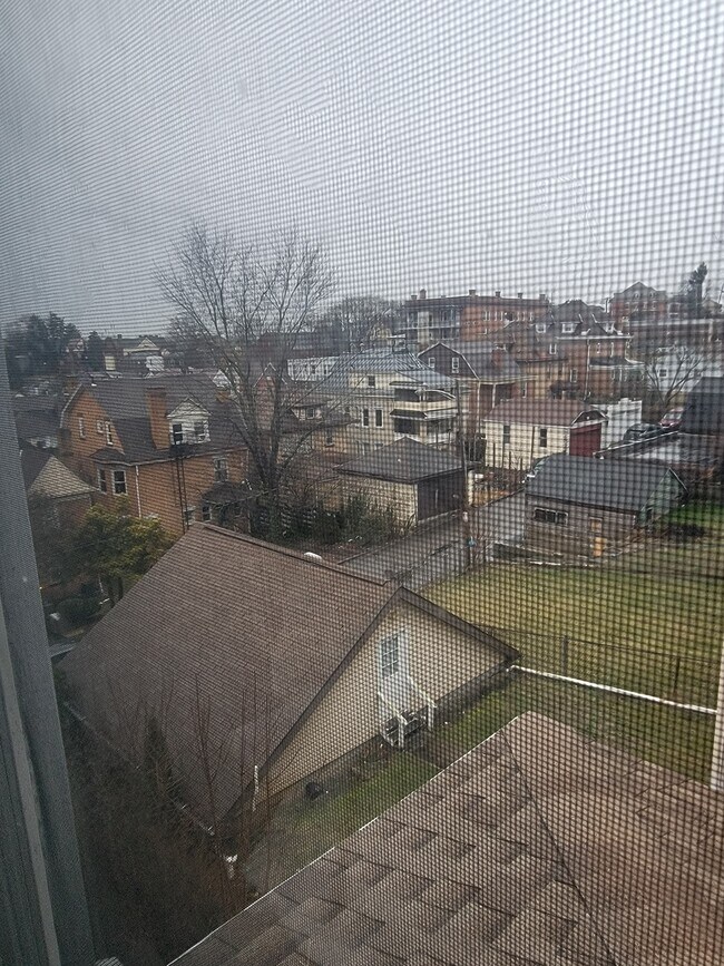 Building Photo - 127 Margaret Street