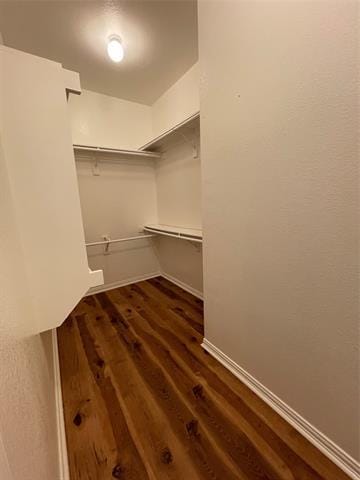 Building Photo - 1606 Corkwood Dr