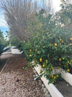 Building Photo - 2287 Levante St