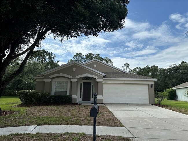 Building Photo - 1023 Cinnamon Fern Ct