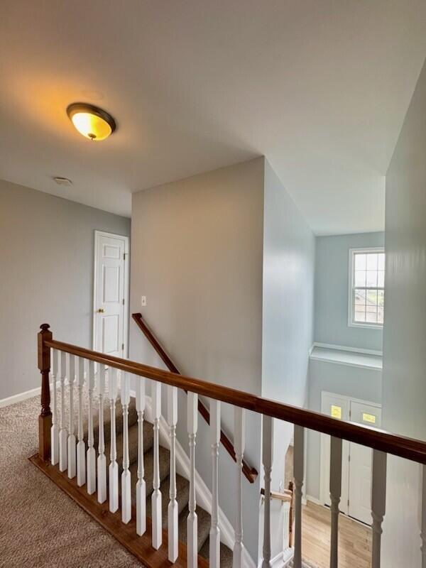 Building Photo - 11328 Sheffield Ln