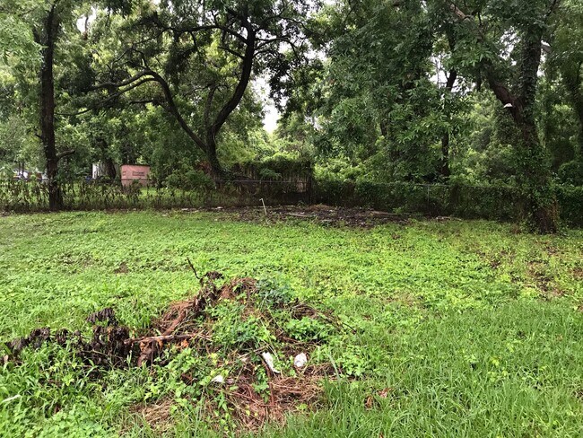 Building Photo - beautiful just remodeled home in Jones Creek. Move In Ready!