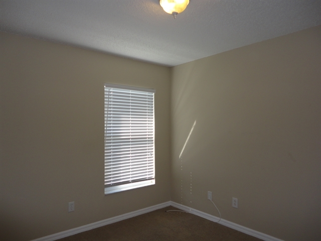 Building Photo - 13116 Carrollwood Creek Dr