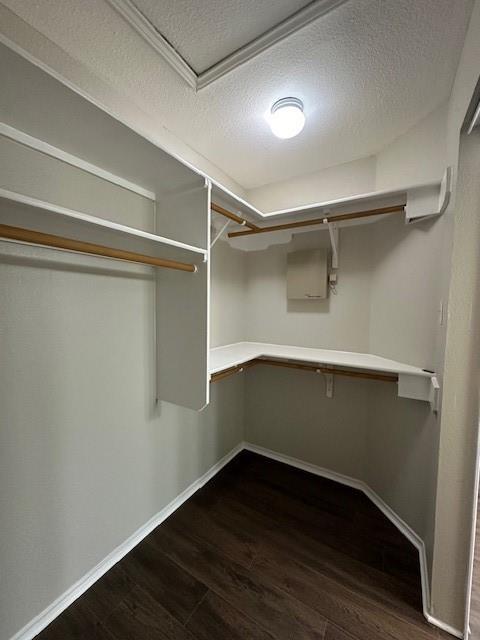 Building Photo - 13417 Gent Dr