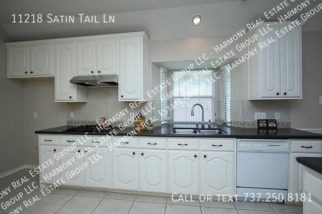 Building Photo - 11218 Satin Tail Ln