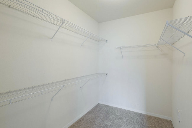 Walk-in-Closet - 6511 Emerald Dunes Dr