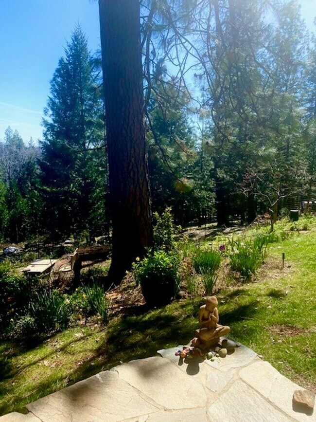 Primary Photo - 14200 Tahoe View Dr