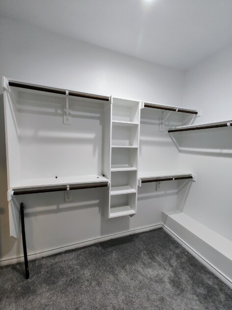 Building Photo - 7855 San Carlos St