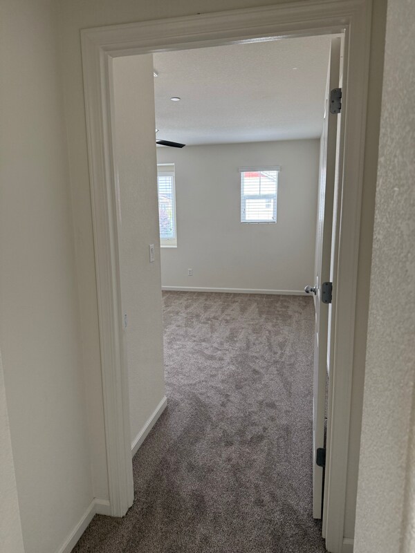 Building Photo - 4312 Ibiza Island Way