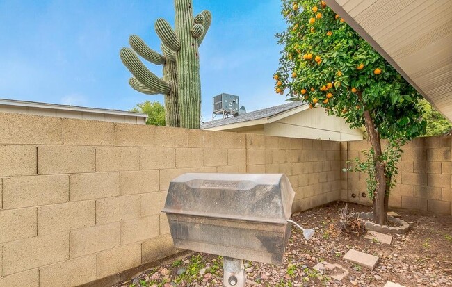 Building Photo - 2439 E Del Rio Dr