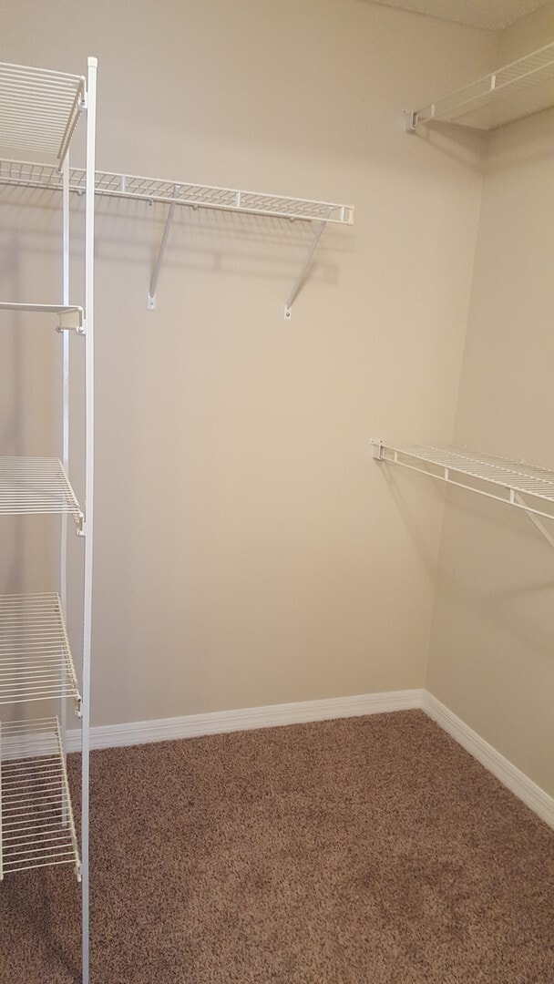 Building Photo - 3 bedroom 2 bath home