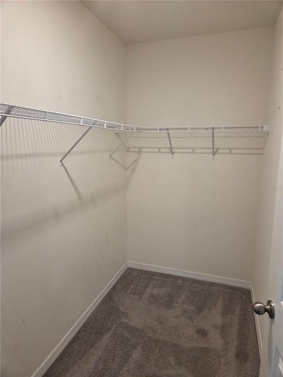 Building Photo - 17007 Blister Wing Dr