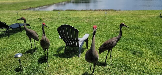 Building Photo - 11808 Thicket Wood Dr