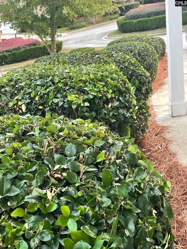 Building Photo - 33 Golden Spur Ln