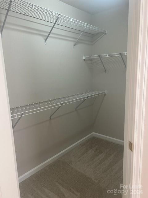 Building Photo - 113 Kase Ct