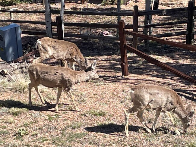 Building Photo - 213 S West St