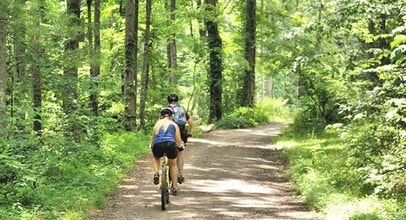 Building Photo - South AVL - Spacious 1/1 Apt with Sunroom!