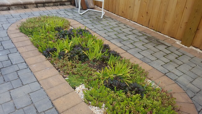 Parking pad large enough for a midsize SUV, with walkable plants, eco friendly! - 526 24th St NE